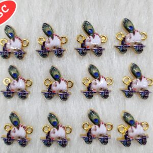 3D-31 RAKHI CHAMS